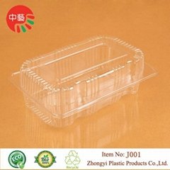 clear blister clamshell packaging plastic food container