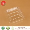 clear PET plastic disposable blister food tray 3