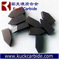 C1 Brazed Carbide Tips