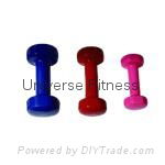 Vinyl Dumbbells of weight lifting fitness accessories