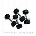 Home gym fitness equipment -dumbbell for indoor exercise Rubber Dumbbell UD-25 1