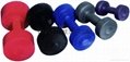 Cement Dumbbells of weight lifting fitness accessories