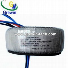 30VA Customized Audio Toroidal Transformer for DVD, Amplifier and Loudspeaker