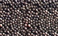 Top Quality Black Pepper 2