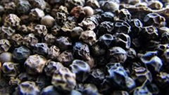 Top Quality Black Pepper