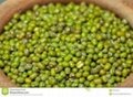 Quality Green Mung Beans 1