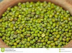 Quality Green Mung Beans