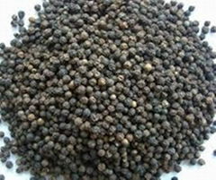 black pepper