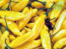 yellow pepper 2