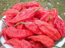 fresh pepper 4