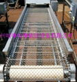 Hoisting chain conveyer