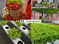 urban farming and smart growing systems 1