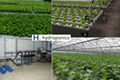 multi span agricultural Growing system NFT 1