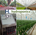 Large multispan greenhouse for hydroponics 