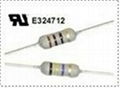 Over Current Protection Wirewound Fusing Resistor (RXF)