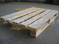 供應木托盤木棧板 5