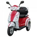Disabled 500W Motor Electric Mobility