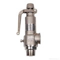 Male thread  pring loaded safety valve