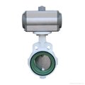 Pneumatic actuated PTFE stuffing butterfly valve