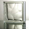 clear glass block 2