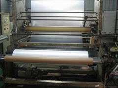 Hot melt adhesive film    13years producing experiences