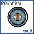 XLPE insulated high voltage electric cable of China's factory 