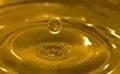 crude sunflower oil 1