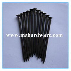 common nails,wire nail,round nail