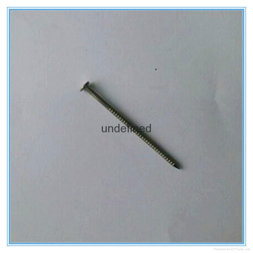 Stainless Steel nail