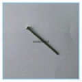 Stainless Steel nail 1