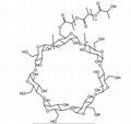 Oligo(lactic Acid)-beta-Cyclodextrin 1