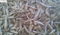 DRIED ANCHOVY 5