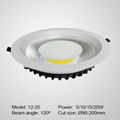 30W LED down light with thin lamp body 1