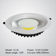 30W LED down light with thin lamp body