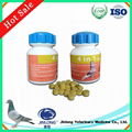 Veterinary Generic Pigeon Racing Medicines Furaltadone and Ronidazole Tablet 1