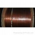 750V and the following metal sheathed mineral insulated power cable 1