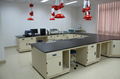 epoxy resin coated acid resistance chemical lab wall bench  5