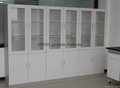 laboratory chemical reagent storage cabinets 