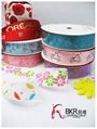 printed ribbons of nylon, polyester and stain materials 2