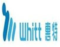 Whitt SMT 0.5m Inspectiom Conveyor 4