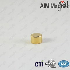 Gold Plated Round Shape Jewelry Neodymium Magnets