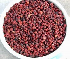 supply The herb Schisandra chinensis for export