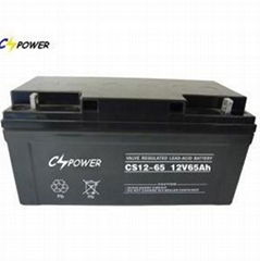 12V65Ah Lead Acid Battery