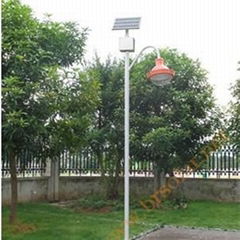 Solar Garden Lights