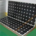 Poly And Mono Solar Modules