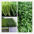 Good performance artificial grass for soccer 4