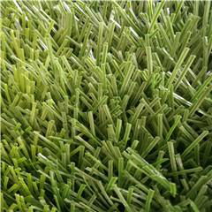 Monofilament stem yarn artificial grass 