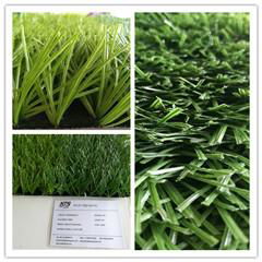 Monofilament stem yarn artificial grass  5