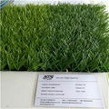 Monofilament stem yarn artificial grass  3