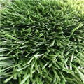 Monofilament stem yarn artificial grass  4